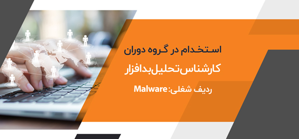 malware analysis expert