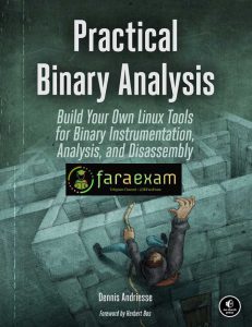 practical binary analysis