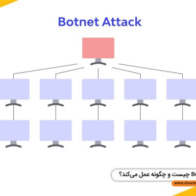 Botnet چیست