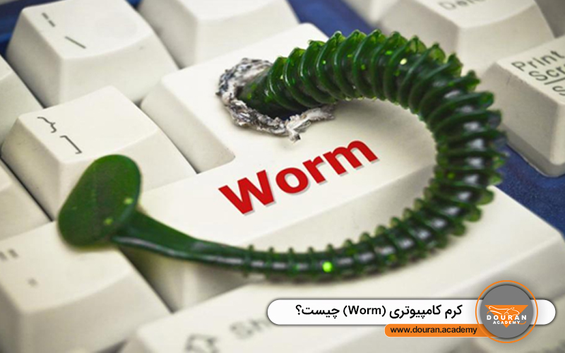 کرم کامپیوتری (Worm)